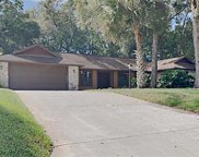 6 Forest Oak Drive, Ormond Beach image
