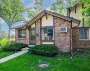 1S155 Dillon Lane, Villa Park image