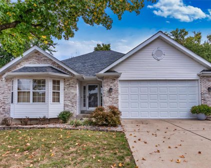 13608 Tesson Oaks  Court, St Louis