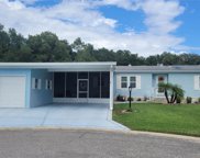 2801 Hortree Court Unit 1869, Zellwood image
