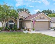 1114 Breezy Knoll Street, Minneola image