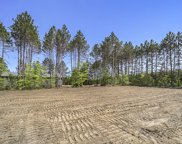 5125 Ne Myers Road, Kalkaska image