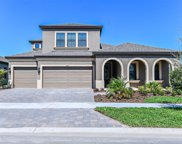12887 Tortoise Shell Place, Riverview image