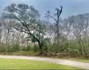 1232 Chuckwagon Court, Angleton image