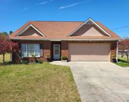 6882 Pannell Road, Trussville image