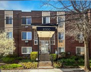3000 7th St Ne Unit #227, Washington image