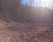 00 Brambleside Ln, Sylva image