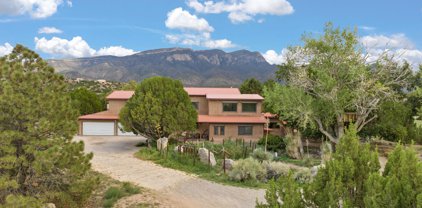 10 Calle Del Arroyo, Placitas