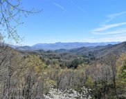 804 Old Cove  Road, Sylva image