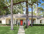 12126 Broken Bough Drive, Houston image