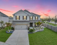 8415 Olive Brook Drive, Wesley Chapel image