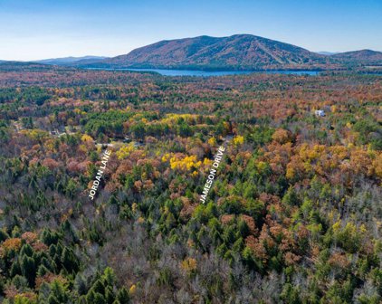 Lot 9 Jordan Lane, Bridgton