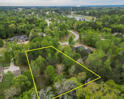 14677 Diamond Shores, Willis