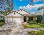 424 Down Pine Drive, Seffner image