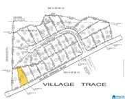 1776 Village Springs Road Unit 2, Springville image