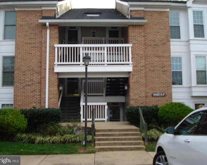 4500 28th Rd S Unit #10-5 UNIT A, Arlington