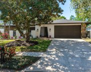 809 Highview Drive, Palm Harbor image