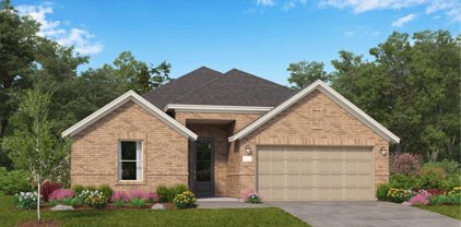 704 Ivory Creek Court, Willis
