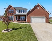 1315 Chapman Ct, Spring Hill image