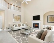 8306 Magdalena Run, Helotes image