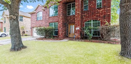 26035 Lavender Jade Court, Kingwood