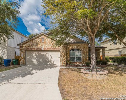 10803 Bramante Ln, Helotes