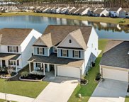 625 Snow Owl Drive, Summerville image