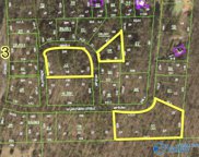 5.3 Acres +/- Valley View Street, Hokes Bluff image