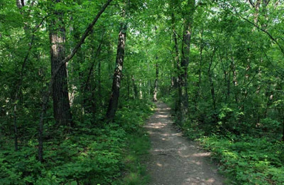 lapham peak
