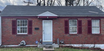 7212 Ruddy  Lane, St Louis
