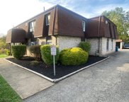 230 Prestwick  Drive, Youngstown image
