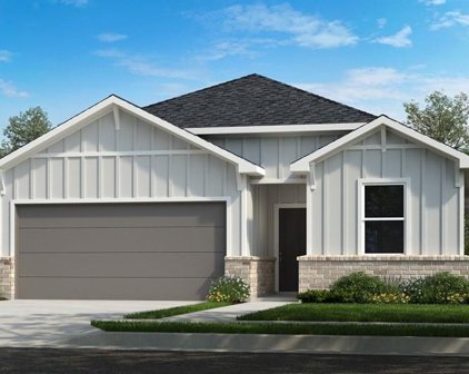 7319 Bristlegrass Colony Court, Cypress
