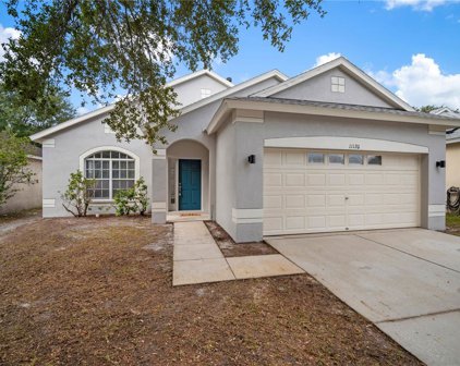 11120 Newbridge Drive, Riverview