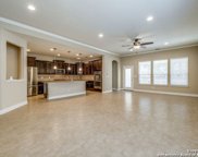 10822 Yaupon Holly, Helotes image