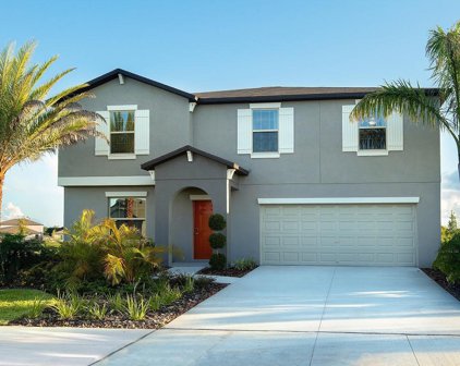 12804 Weston Oaks Lane, Riverview