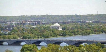 1600 N Oak St Unit #919, Arlington