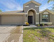 8419 Carriage Pointe Drive, Gibsonton image