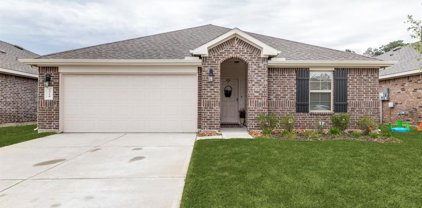 3310 Iron Pine Lane, Conroe