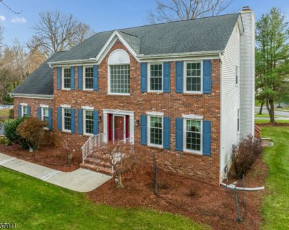 1 Timbers Court, Branchburg Twp.