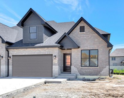 16481 Kayla Drive, Lemont