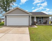1416 Leatherman Rd., Conway image