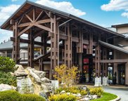 1175 Resort  Dr Unit #222, Parksville image