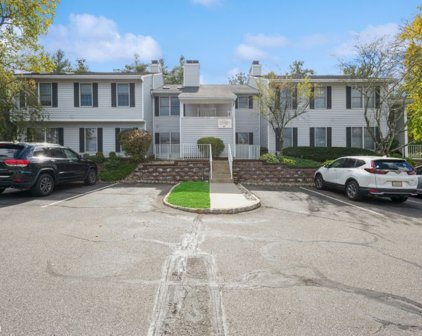 409 Ferncrest Ct, Readington Twp.