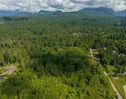LOT 3 246 Street, Maple Ridge image