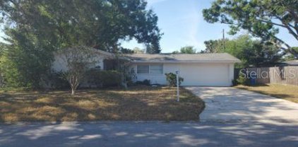 2040 Pine Ridge Drive, Clearwater