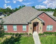 2329 Willowby Drive, Houston image