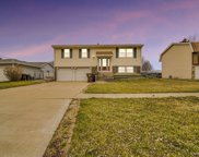 20254 S Jonquil Lane, Frankfort image