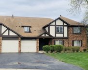 6223 Lakepark Lane Unit #D, Willowbrook image