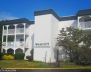 5709 Lyons View Pike Unit APT 1216, Knoxville image