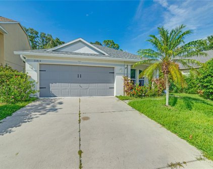 11815 Acorn Woods Terrace, Lakewood Ranch